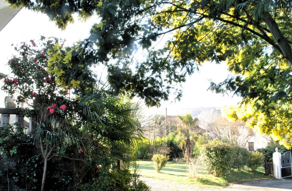 Bed and breakfast Hortebise Salies-de-Béarn
